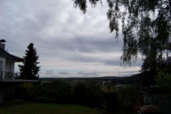 100_9919